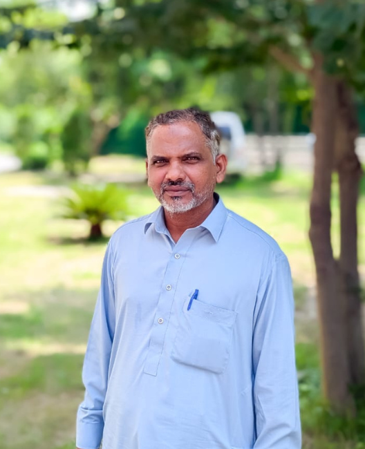 Zulfiqar Ali